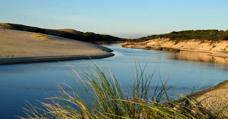 Les Cigales Aquitaine - Moliets-et-Maa visuel 6/10