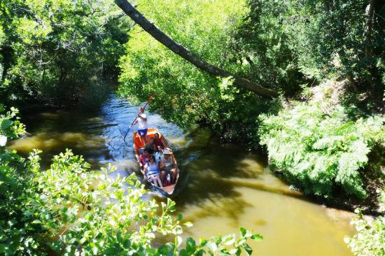 Les Cigales Aquitaine - Moliets-et-Maa visuel 9/10