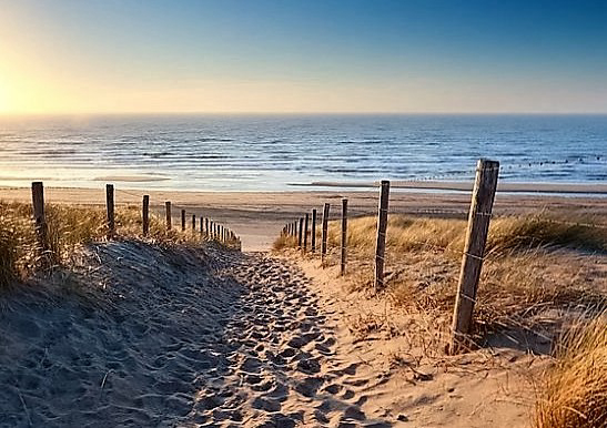 Les Cigales Aquitaine - Moliets-et-Maa visuel 10/10