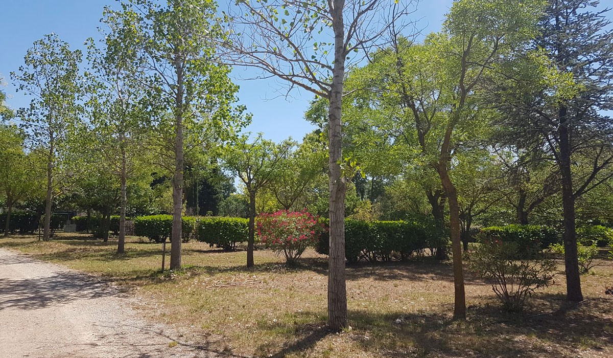 Les Cottages de Saint André Languedoc-Roussillon - Saint-André-de-Sangonis visuel 4/7 Les Cottages de Saint André Languedoc-Roussillon - Saint-André-de-Sangonis visuel 4/7