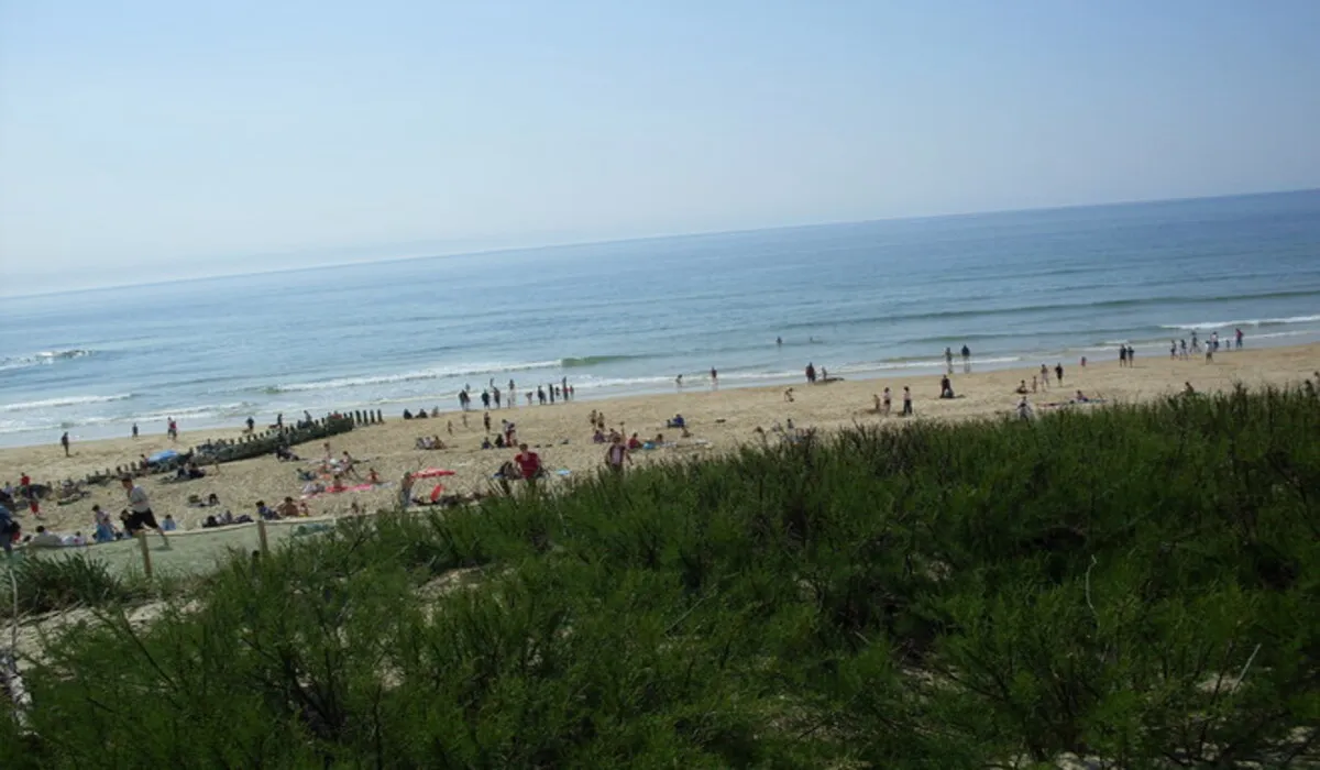 Camping Les Echasses Aquitaine - Gastes visuel 7/8