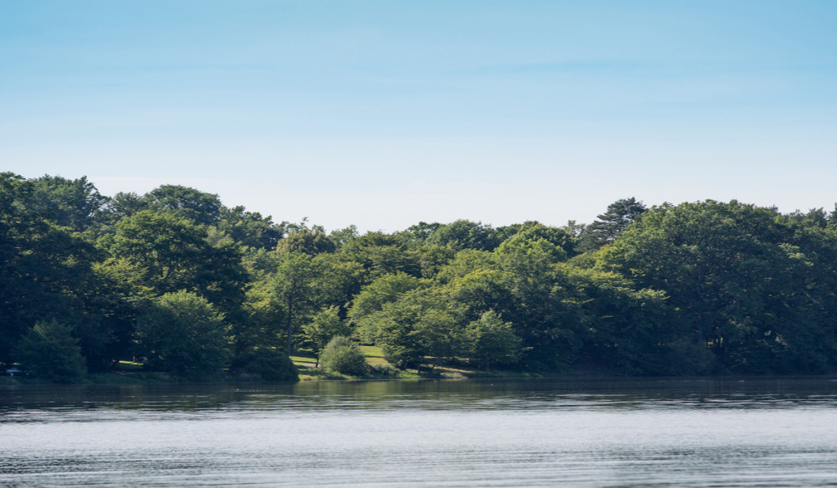 Les Ecossais Auvergne - Isle-et-Bardais visuel 2/5 Les Ecossais Auvergne - Isle-et-Bardais visuel 2/5