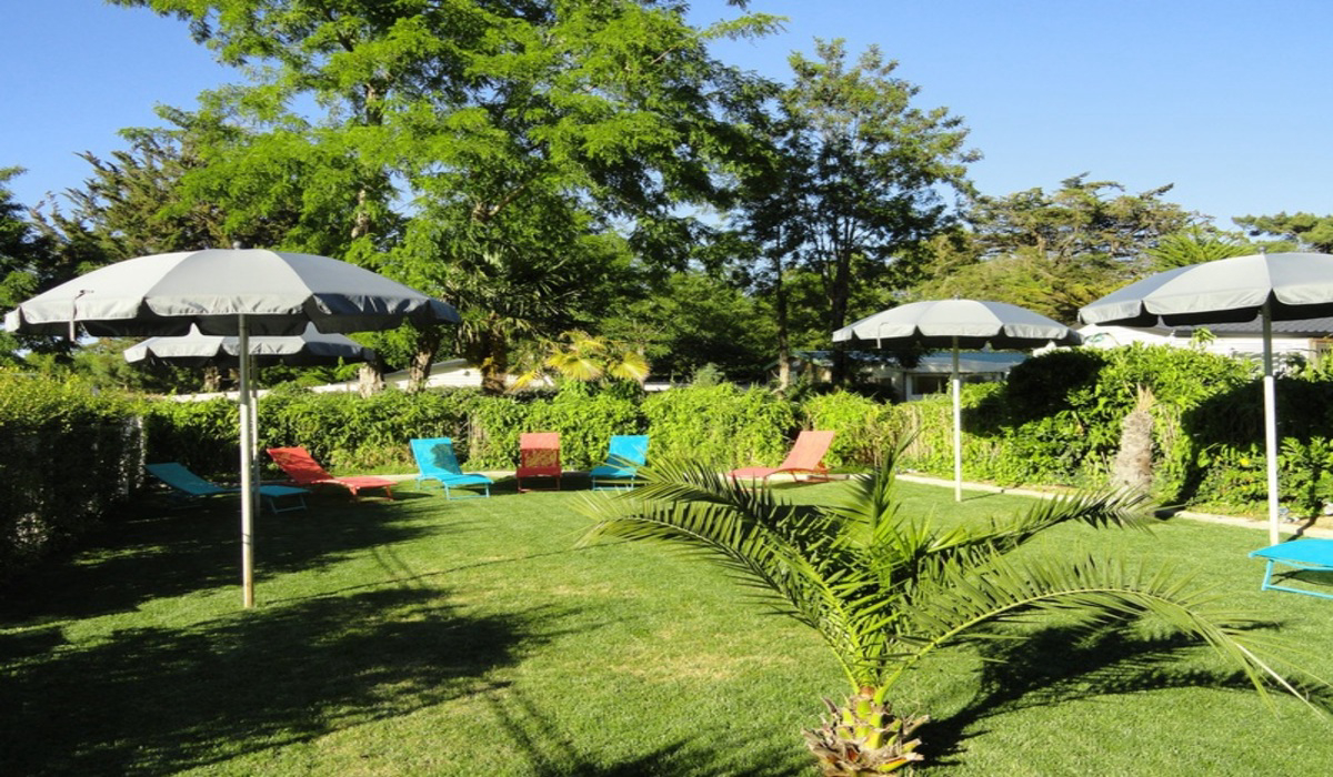 Les Fougères Poitou-Charentes - Rivedoux-Plage visuel 2/11