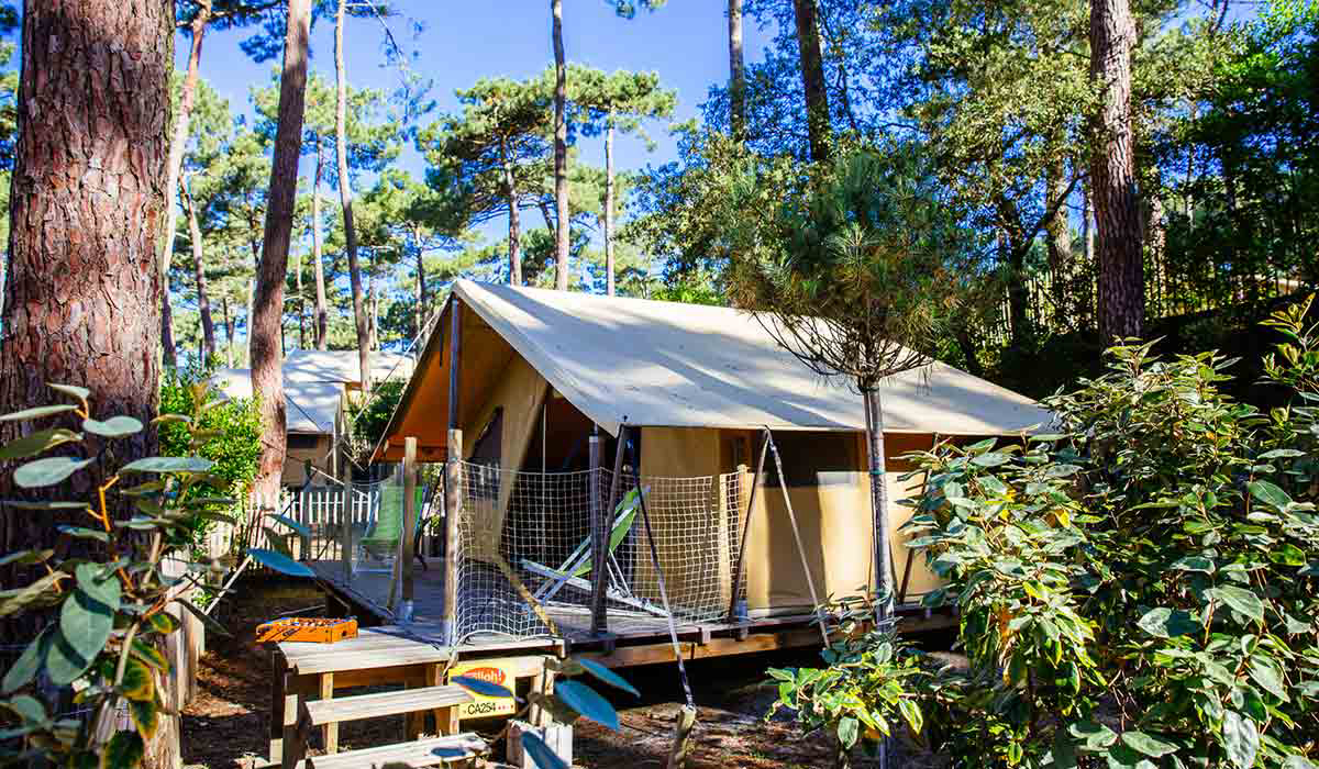 Les Grands Pins Aquitaine - Lacanau visuel 6/10