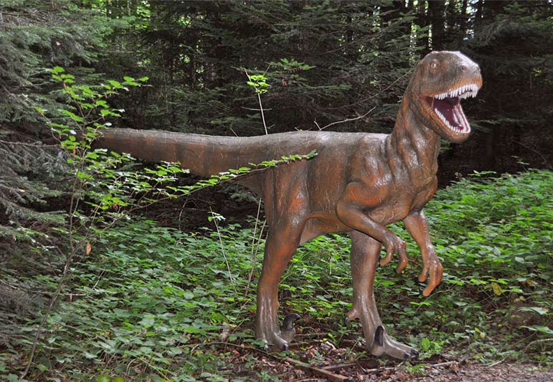 Les Grottes Espace Mittelland - Réclère visuel 8/9 Les Grottes Espace Mittelland - Réclère visuel 8/9