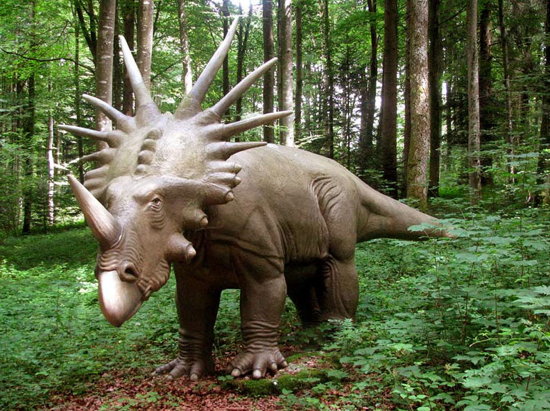 Les Grottes Espace Mittelland - Réclère visuel 9/9 Les Grottes Espace Mittelland - Réclère visuel 9/9