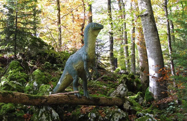 Camping Les Grottes Espace Mittelland - Réclère visuel 5/9