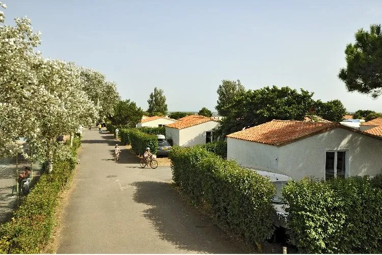 Camping Les Ilates Poitou-Charentes - Loix visuel 11/14