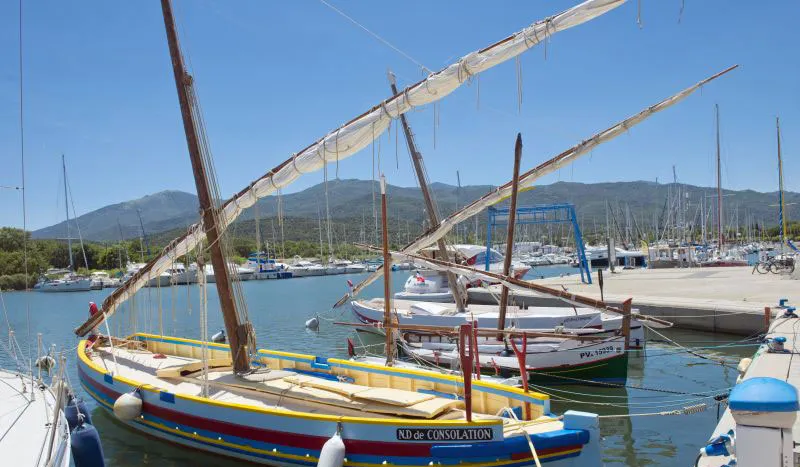 Camping Les Jardins Catalans Languedoc-Roussillon - Argelès-sur-Mer visuel 14/19