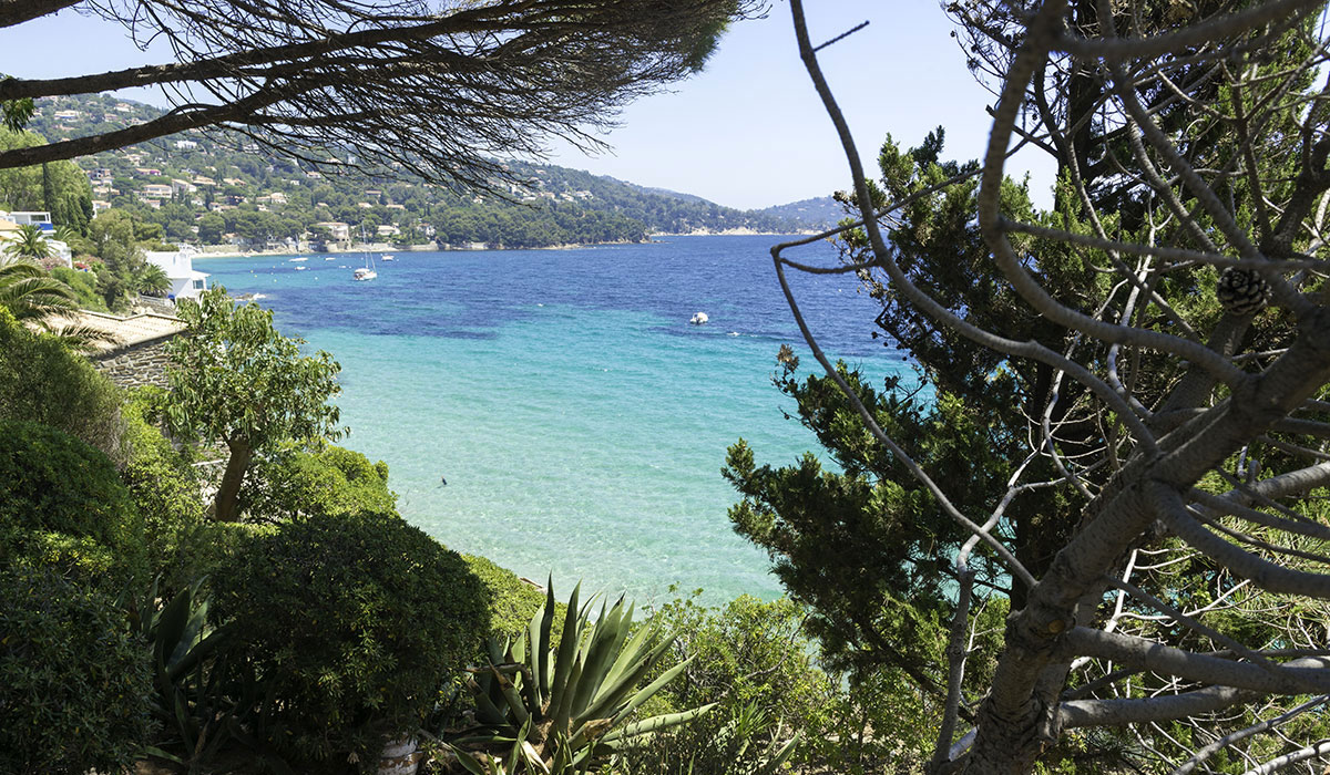 Les Mimosas Provence-Alpes-Côte d'Azur - Le Lavandou visuel 2/7