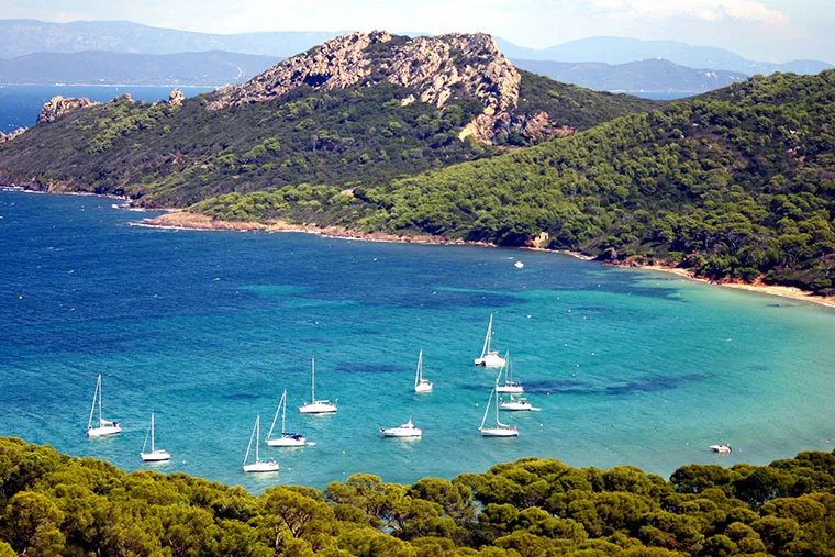 Camping Les Mimosas Provence-Alpes-Côte d'Azur - Le Lavandou visuel 8/14