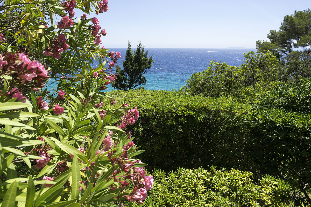 Les Mimosas Provence-Alpes-Côte d'Azur - Le Lavandou visuel 4/7