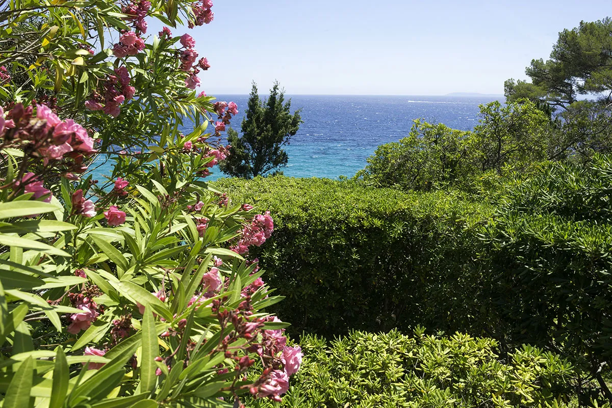 Camping Les Mimosas Provence-Alpes-Côte d'Azur - Le Lavandou visuel 5/14