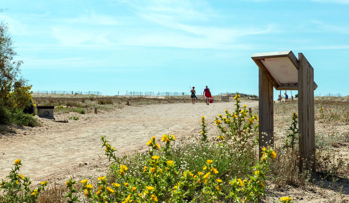 Les Mûriers Languedoc-Roussillon - Vendres visuel 13/14