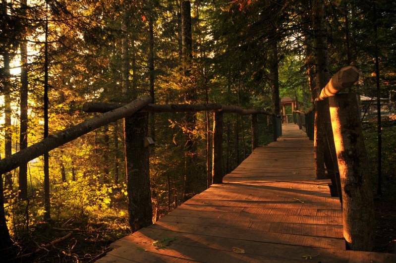 Les Nids Espace Mittelland - Le Locle visuel 2/2 Les Nids Espace Mittelland - Le Locle visuel 2/2