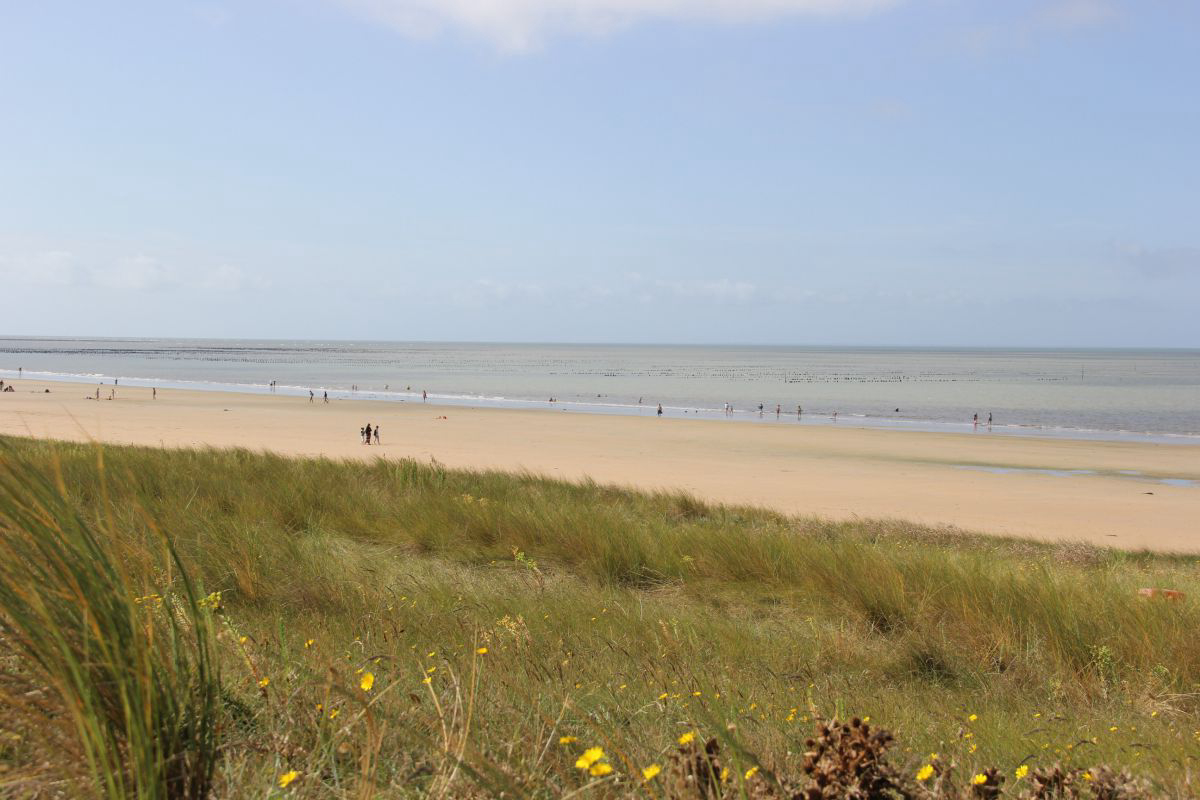 Les Oncheres Pays de Loire - Barbâtre visuel 4/4