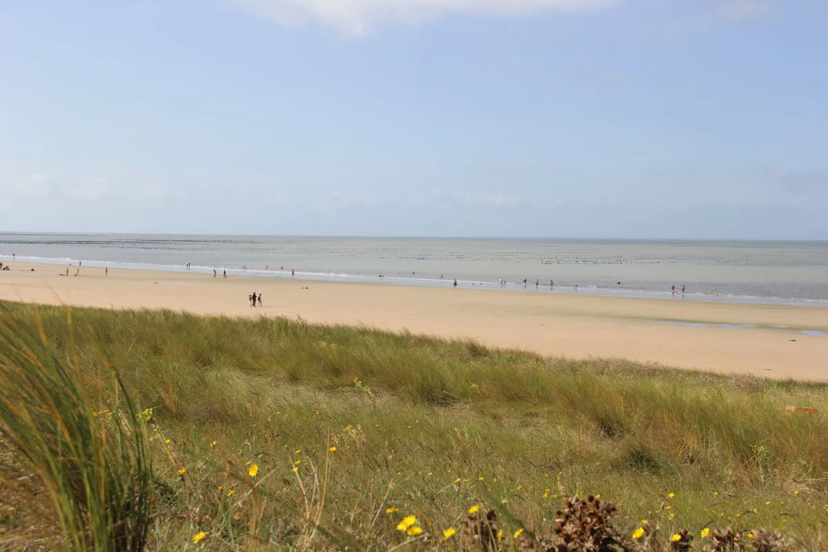 Camping Les Oncheres Pays de Loire - Barbâtre visuel 4/4