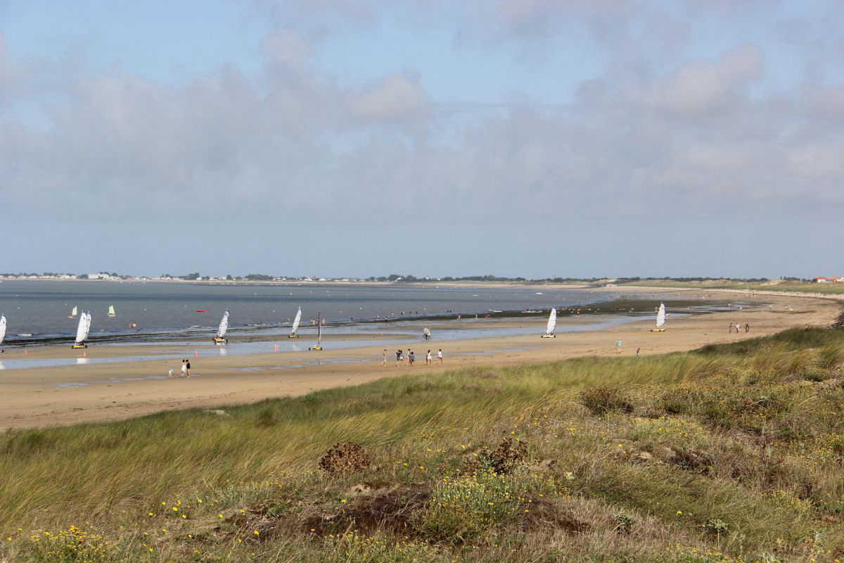Les Oncheres Pays de Loire - Barbâtre visuel 3/4