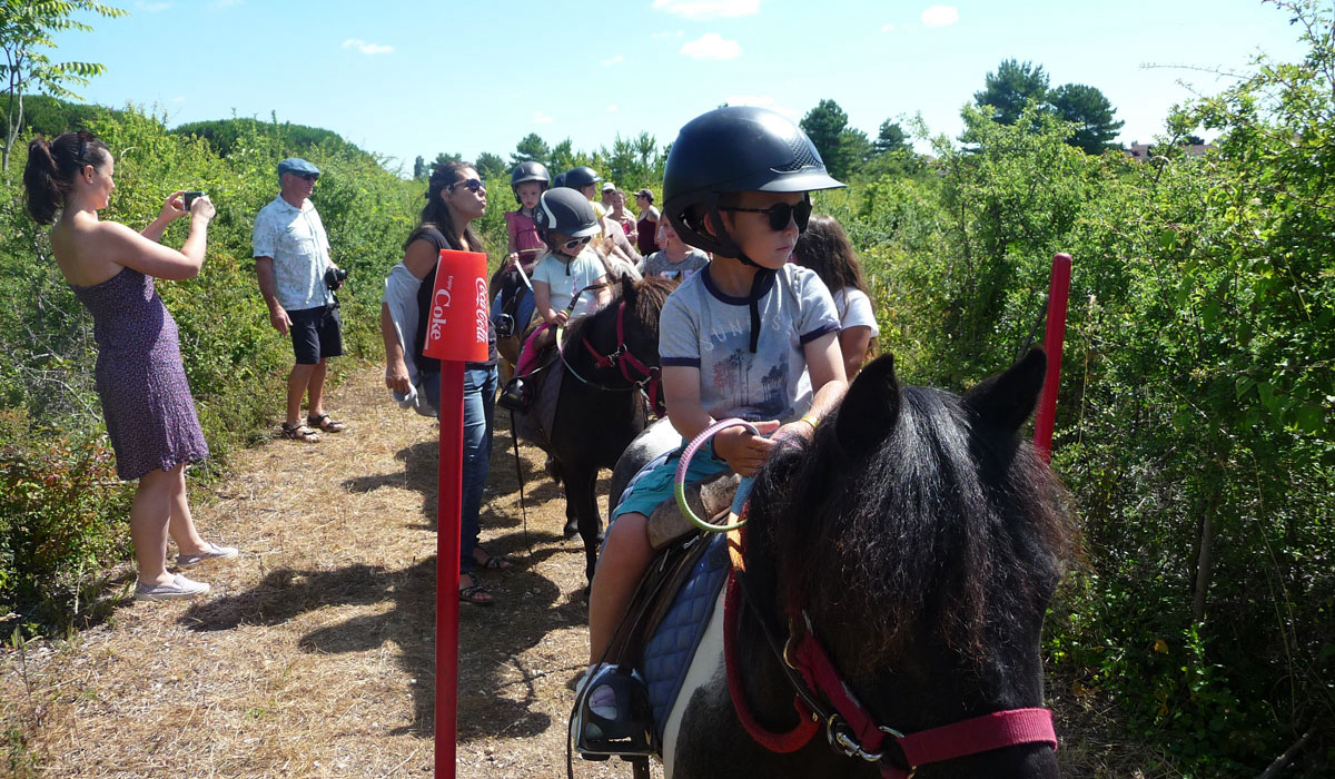 Les Ormeaux Poitou-Charentes - Saint-Palais-sur-Mer visuel 10/10