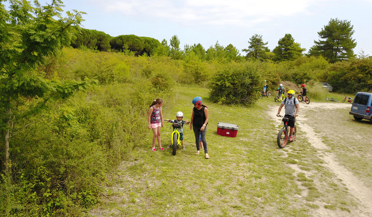 Les Ormeaux Poitou-Charentes - Saint-Palais-sur-Mer visuel 6/10