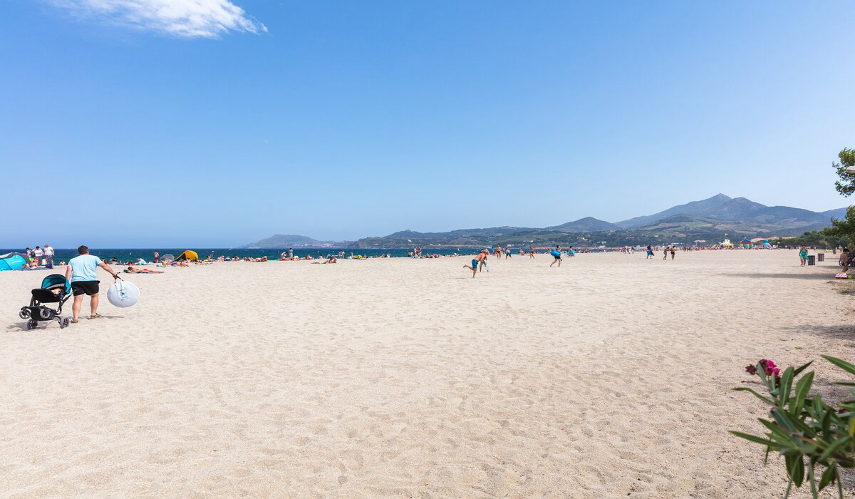 Les Pins Languedoc-Roussillon - Argelès-sur-Mer visuel 9/12