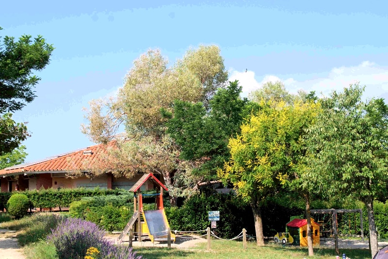 Les Pins Provence-Alpes-Côte d'Azur - Les Salles-sur-Verdon visuel 4/10