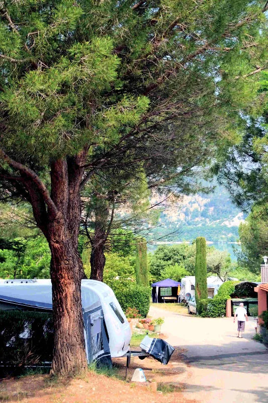 Camping Les Pins Provence-Alpes-Côte d'Azur - Les Salles-sur-Verdon visuel 9/10