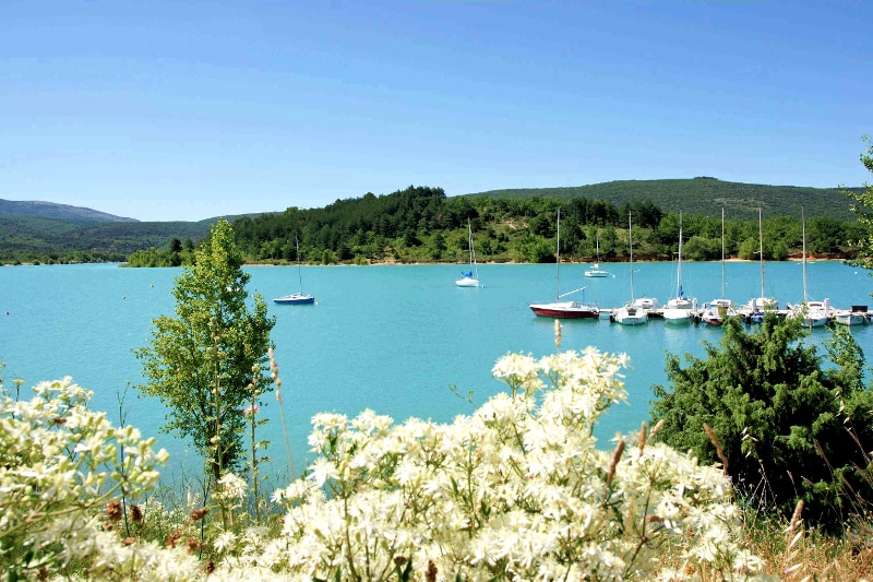 Les Pins Provence-Alpes-Côte d'Azur - Les Salles-sur-Verdon visuel 6/10