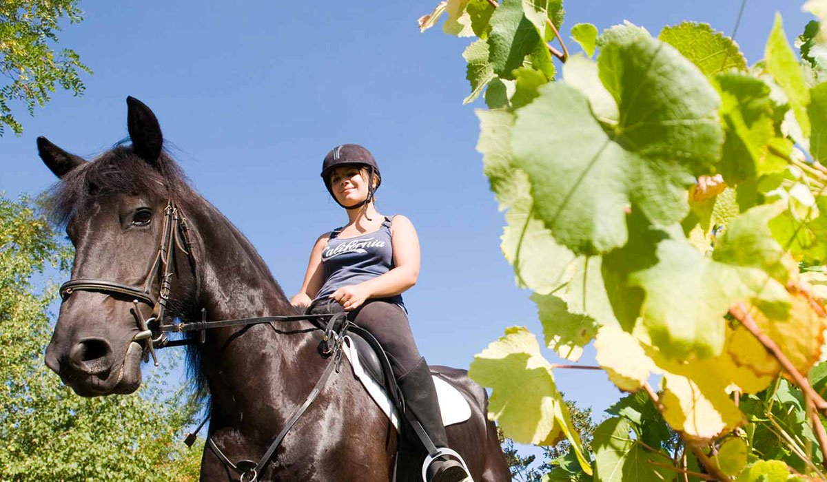 Les Plages de l'Ain Rhône-Alpes - Saint-Maurice-de-Gourdans visuel 6/7