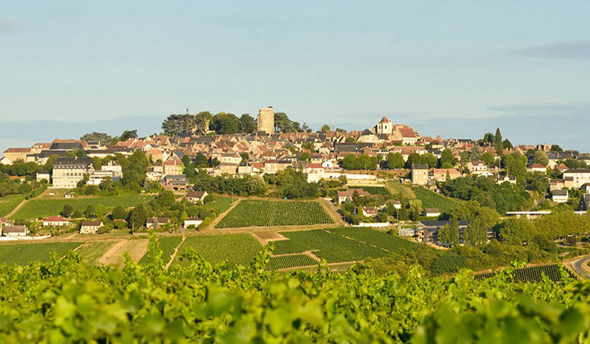 Les Portes de Sancerre Grand Centre - Saint-Satur visuel 6/7 Les Portes de Sancerre Grand Centre - Saint-Satur visuel 6/7