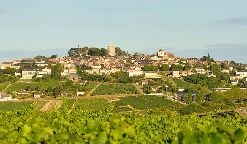 Camping Les Portes de Sancerre Grand Centre - Saint-Satur visuel 6/7