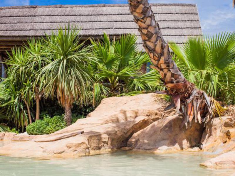 Les Prairies de la Mer Provence-Alpes-Côte d'Azur - Port grimaud visuel 10/26