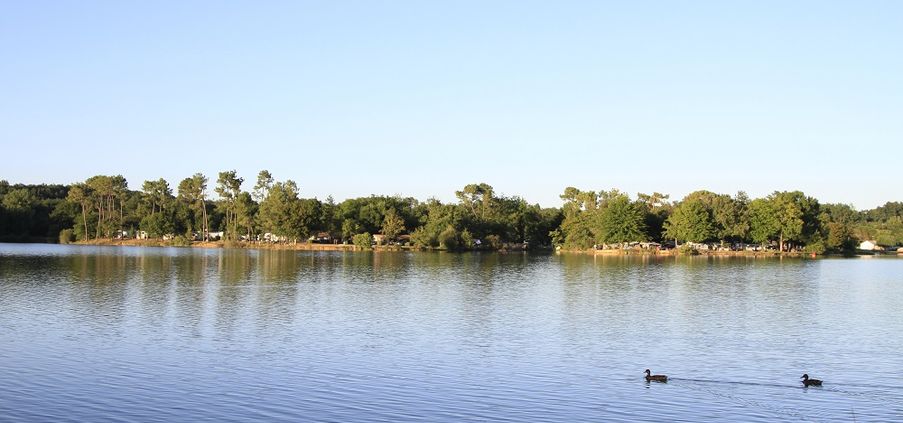 Les Rives du Lac Midi-Pyrénées - Cazaubon visuel 11/13