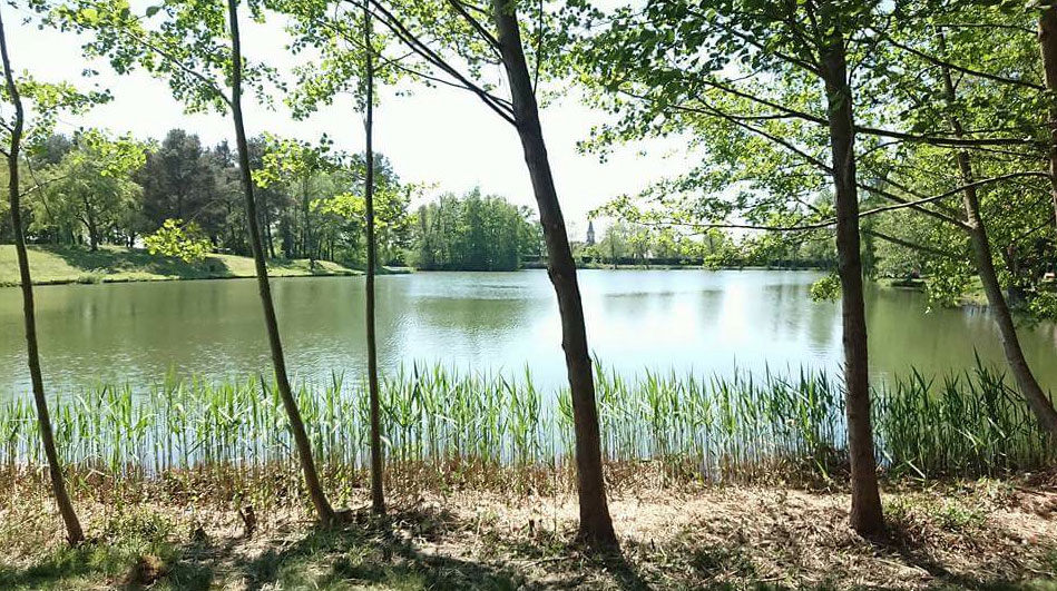 Les Sapins Alsace - Keskastel visuel 1/4