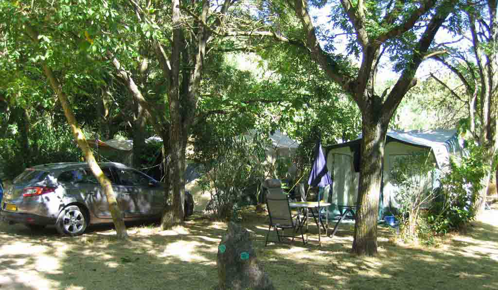 Les Tomasses Provence-Alpes-Côte d'Azur - Belgentier visuel 3/8