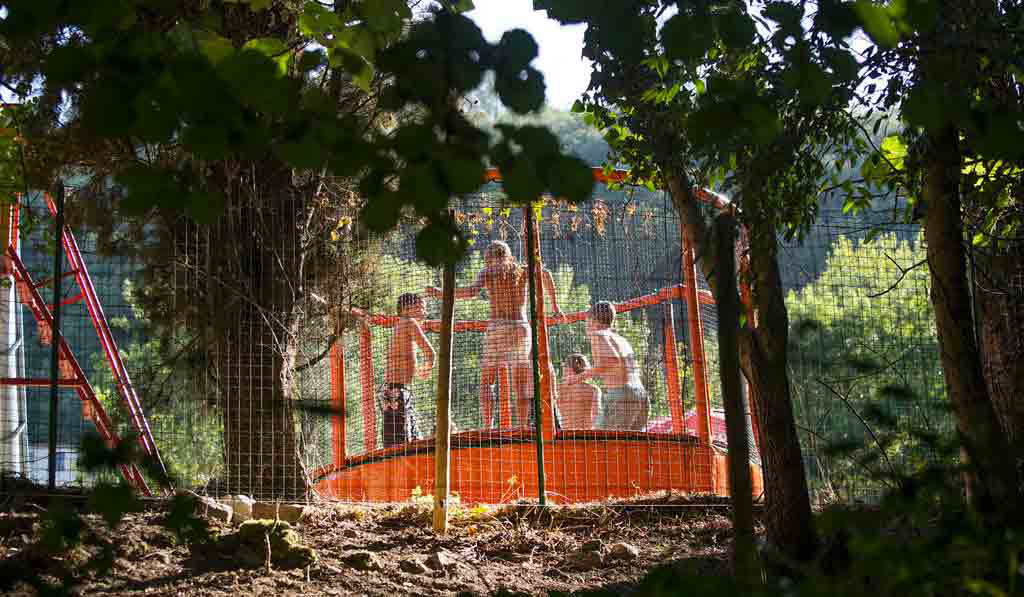 Les Tomasses Provence-Alpes-Côte d'Azur - Belgentier visuel 2/8