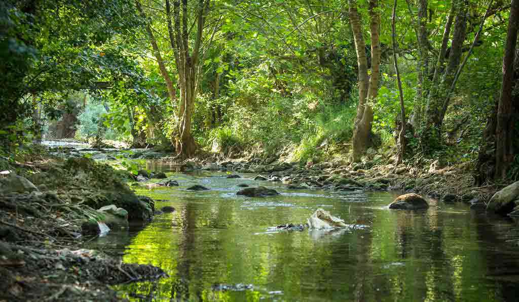 Les Tomasses Provence-Alpes-Côte d'Azur - Belgentier visuel 8/8