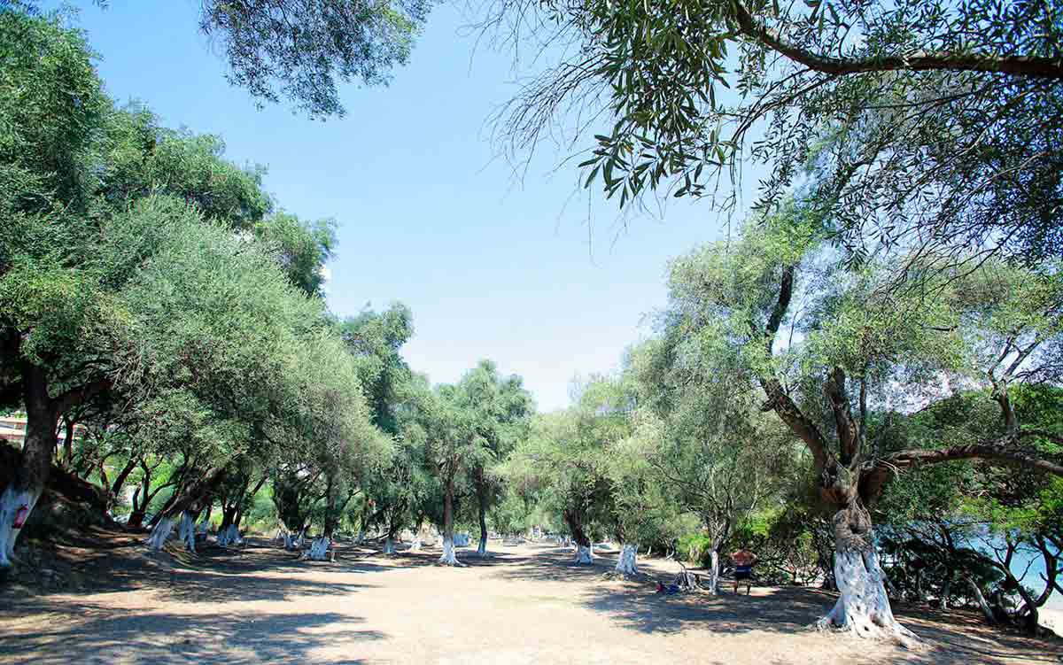 Lichnos Épire - Parga visuel 2/3