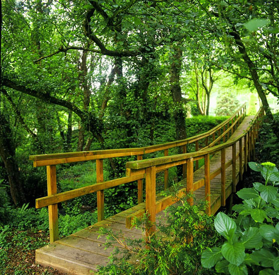 Los Manzanos Galice - Oleiros visuel 3/3