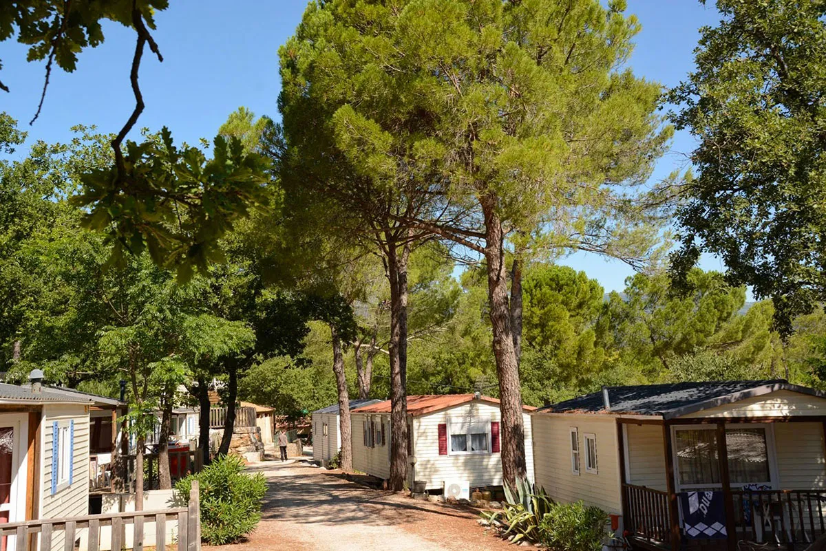 Camping Lou Cantaire Provence-Alpes-Côte d'Azur - Fayence visuel 7/16