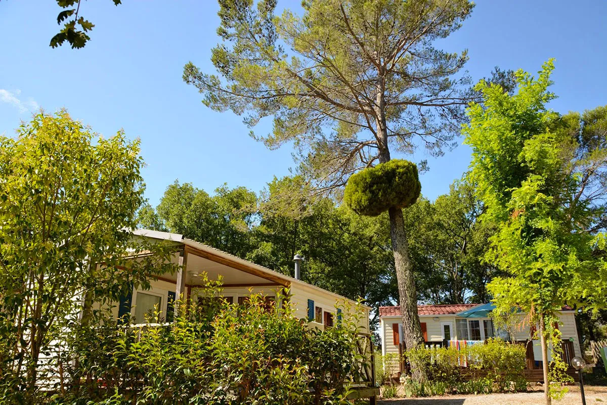 Camping Lou Cantaire Provence-Alpes-Côte d'Azur - Fayence visuel 12/16