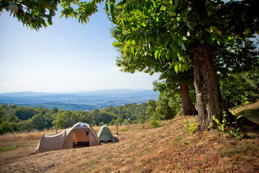 Lucherino Toscane - Cinigiano visuel 2/4