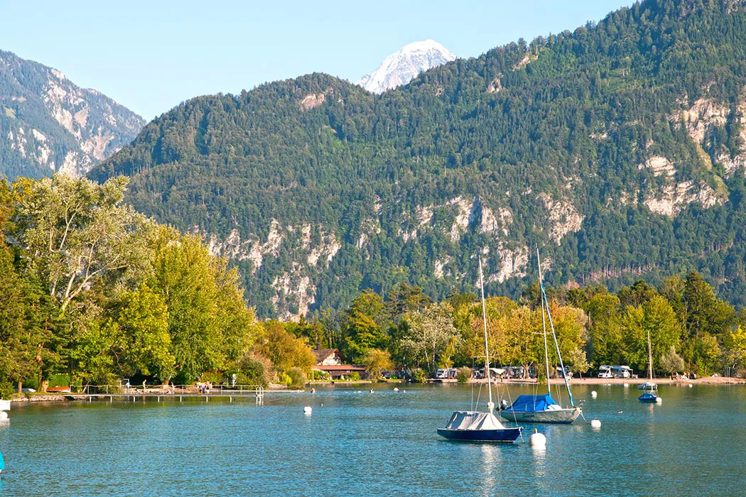 Camping Manor Farm Espace Mittelland - Interlaken visuel 5/5