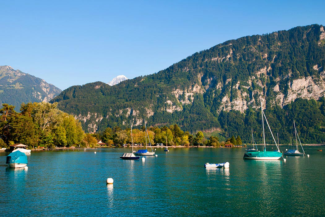 Manor Farm Espace Mittelland - Interlaken visuel 3/5 Manor Farm Espace Mittelland - Interlaken visuel 3/5