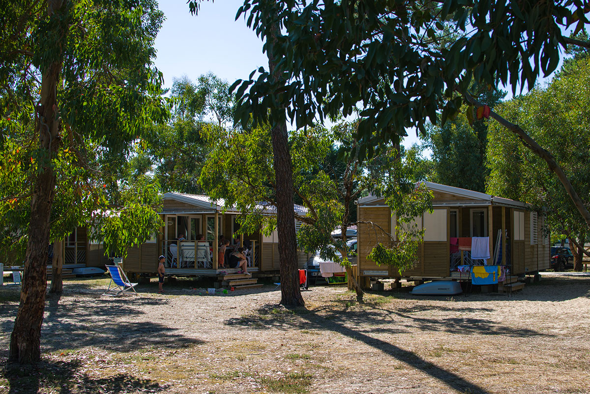 Campéole Médoc Plage Aquitania - Vendays-Montalivet visuel 17/42