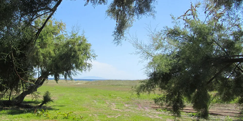 Camping Miami Plage Corse - Poggio-Mezzana visuel 2/9