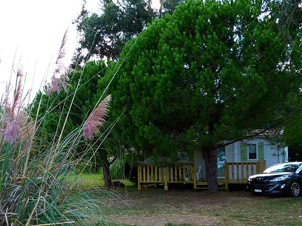 Camping Miami Plage Corse - Poggio-Mezzana visuel 9/9