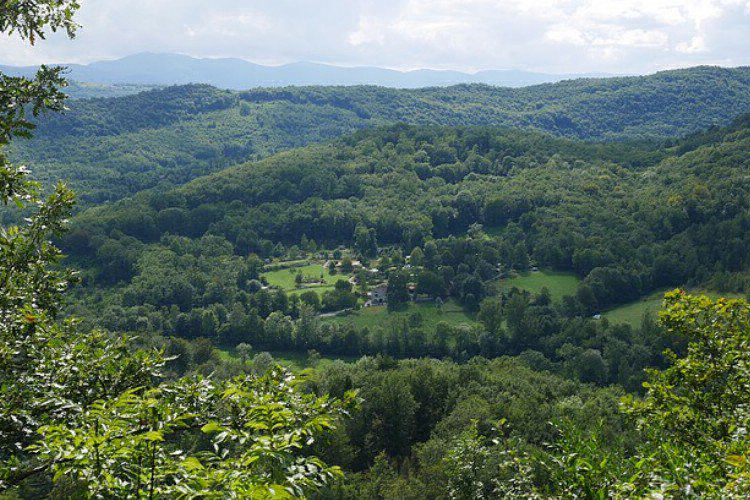 Millefleurs Midi-Pyrénées - Gudas visuel 2/2