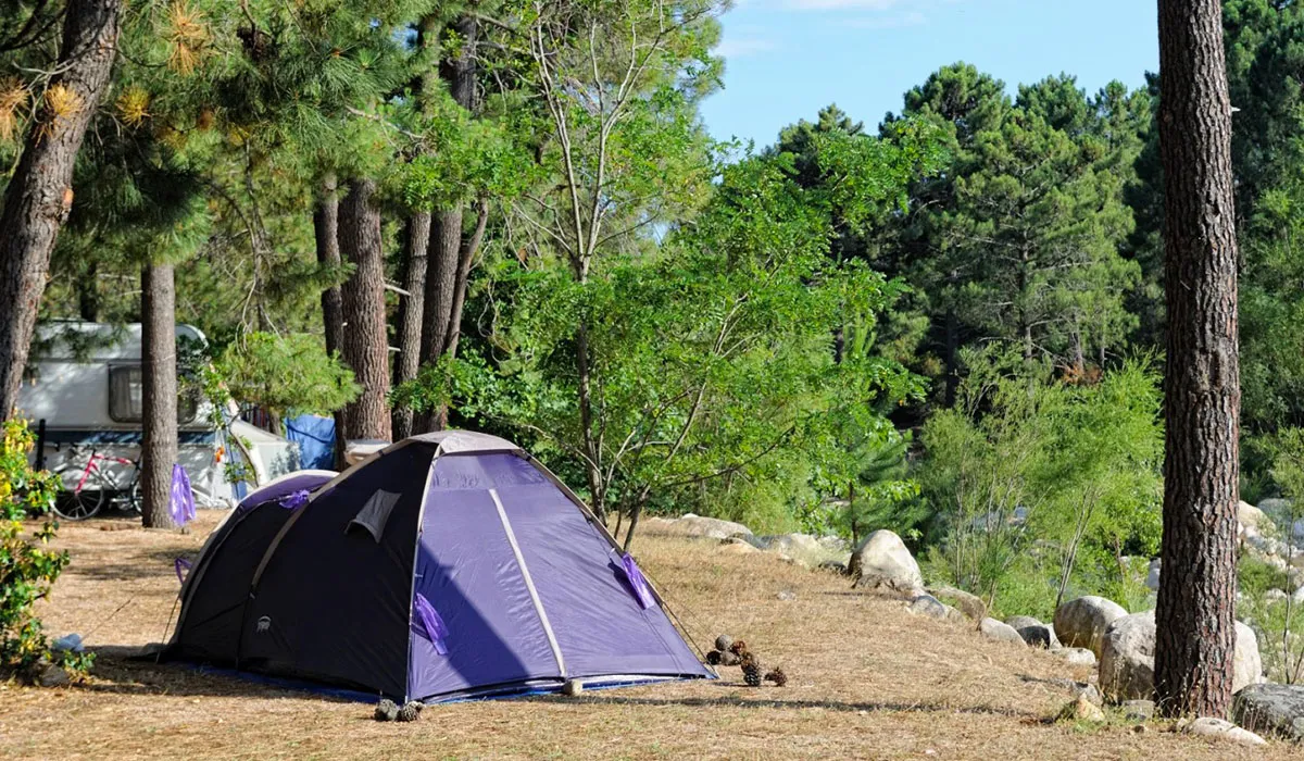 Camping Mulinacciu Corse - Lecci visuel 2/3