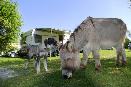 Märchencamping Basse-Saxe - stuhr visuel 3/3